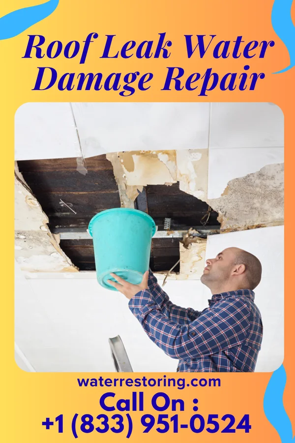 Roof Leak Water Damage Repair in Dallas, OR